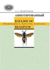  "   (Hymenoptera, Apocrita, Aculeata) "